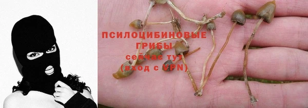 СК Аркадак