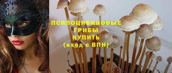 СК Аркадак